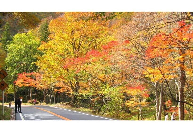 إستوديو قياسى, Spa Hotel Alpina Hida Takayama   Vacation Stay 51628v