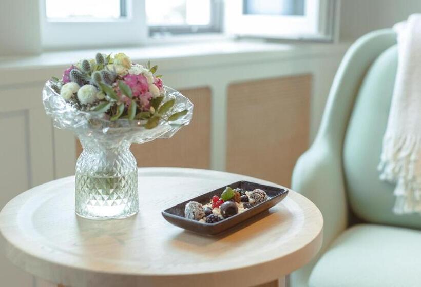 اتاق استاندارد برای معلولان, Strandhotel Ostende