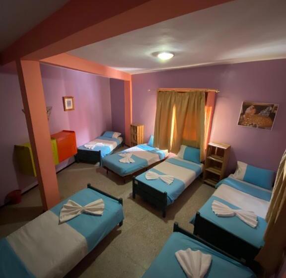 سرير فى غرفة مشتركه, Adventurekeys Surf Yoga Cowork
