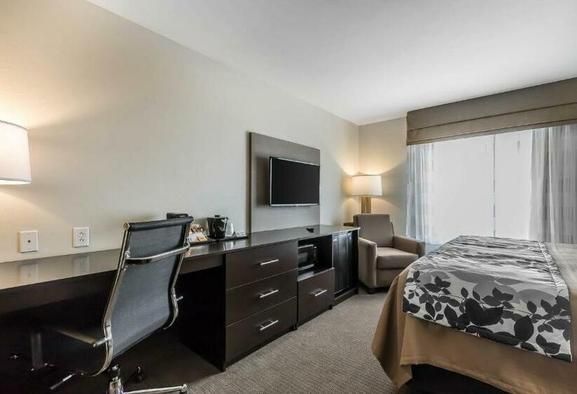 Стандартный Номер Кровать Кинг, Sleep Inn & Suites O Fallon Mo   Technology Drive