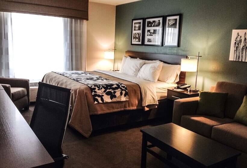 Люкс Адаптированный для Инвалидов, Sleep Inn & Suites O Fallon Mo   Technology Drive