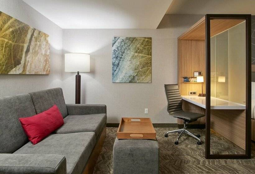 Люкс, Springhill Suites By Marriott Dayton Beavercreek