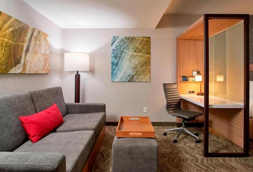 Люкс Адаптированный для Инвалидов, Springhill Suites By Marriott Dayton Beavercreek