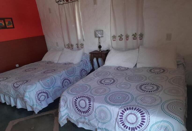 스탠다드 룸, Hostal Andino   Adults Only