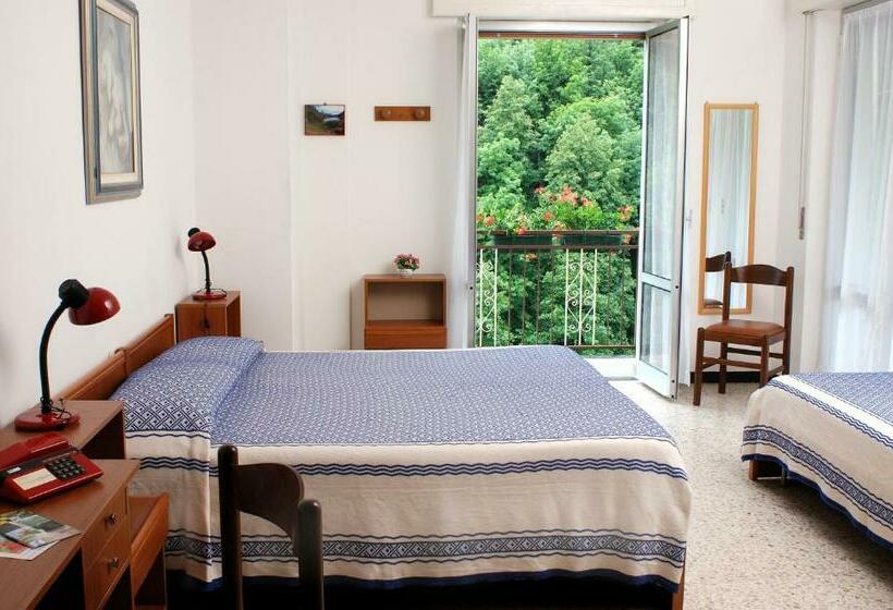 Номер Стандарт с Балконом, Albergo Regina