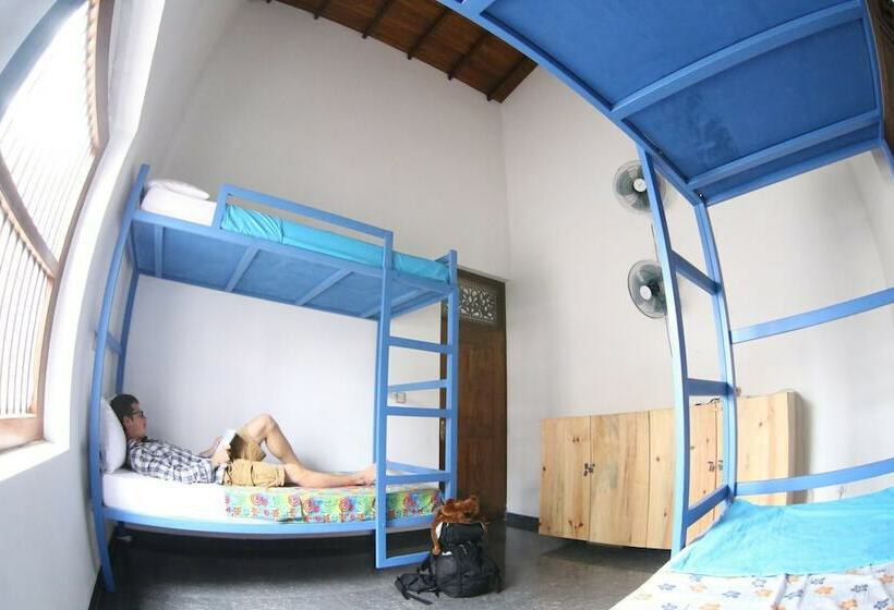 تختخواب در اتاق مشترک, Hostel First Colombo Airport