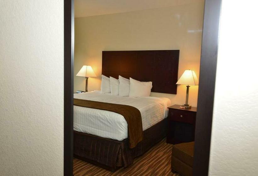 스탠다드 룸 킹사이즈 침대, Cobblestone Inn & Suites   Clarion