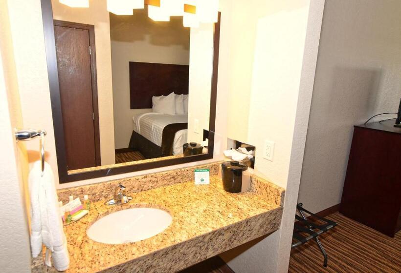 스탠다드 스튜디오 킹침대, Cobblestone Inn & Suites   Clarion