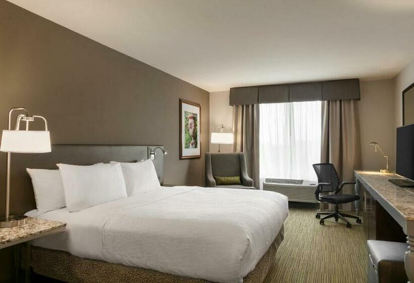 Стандартный Номер Кровать Кинг, Hilton Garden Inn Statesville