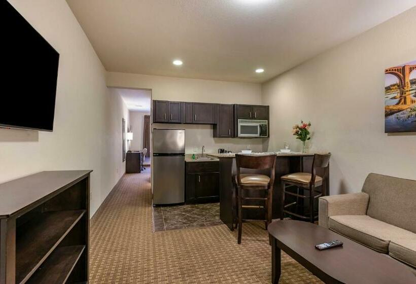 豪华套房, Stay Over Suites   Fort Gregg Adams Area