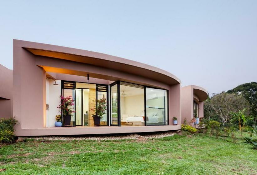 جناح جونيور, Casa Ambrosia