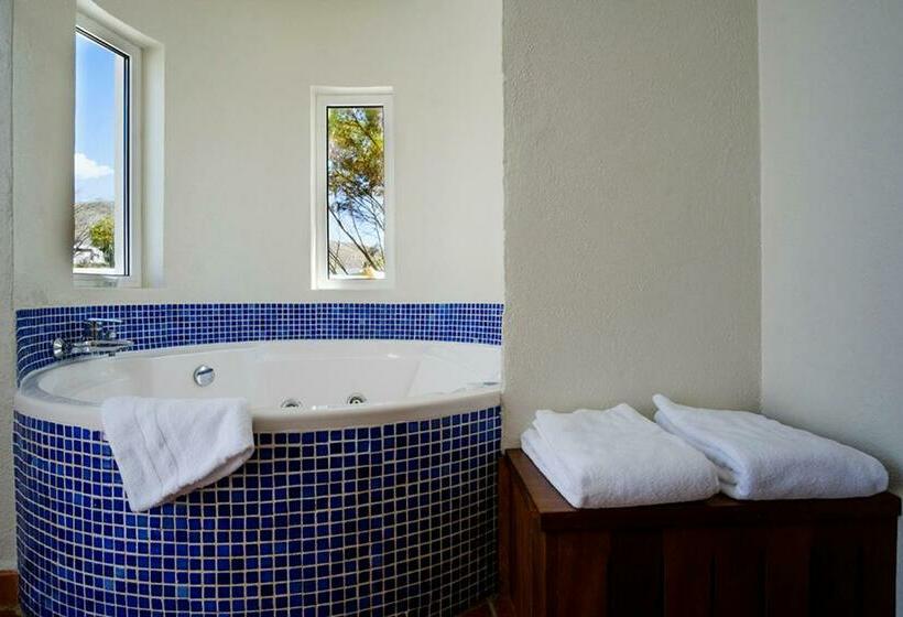 월풀욕조 주니어 스위트, Mikasa Agua Amarga & Spa