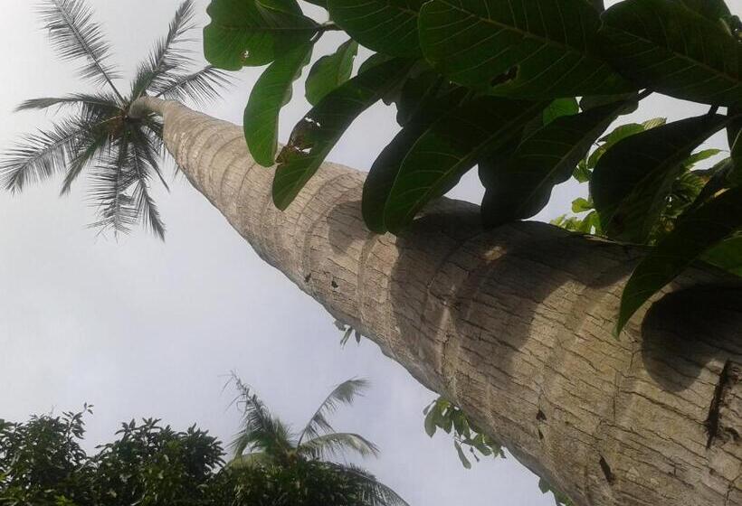 Семейное Студио, El Paraiso Escondido   Costa Rica