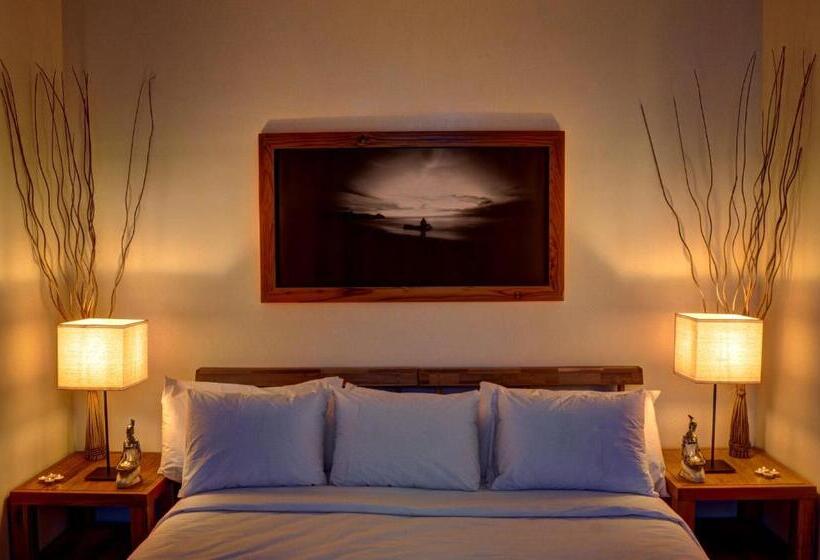 סטודיו דלוקס, Moana Surf Resort