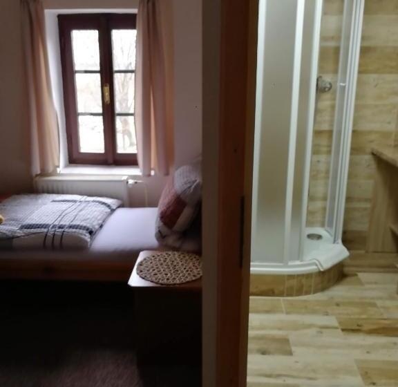 单人基本间, Rodinný Hotel Myslivna