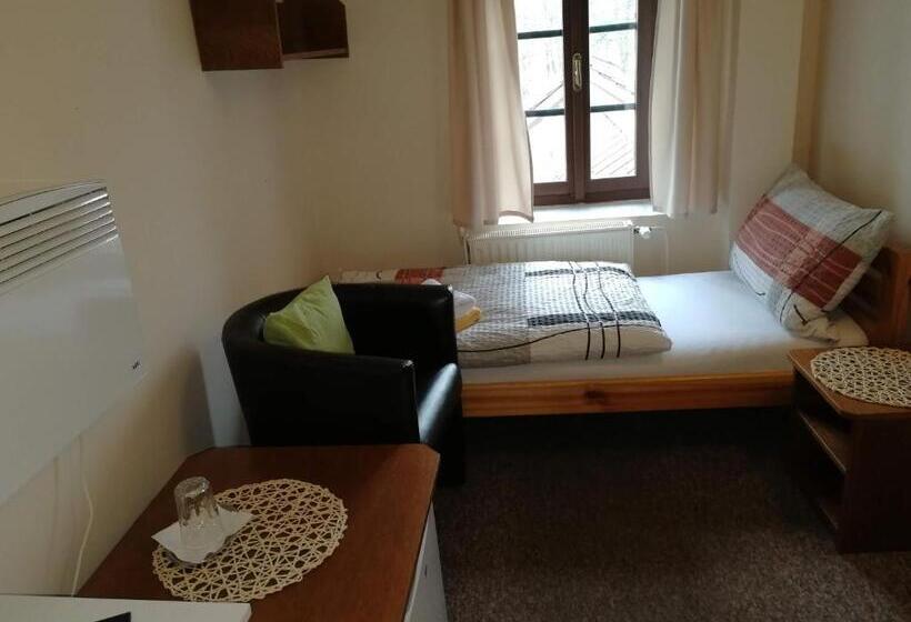 Одноместный Номер Basic, Rodinný Hotel Myslivna