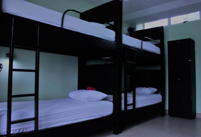 تختخواب در اتاق مشترک, Room2board Hostel And Surf School