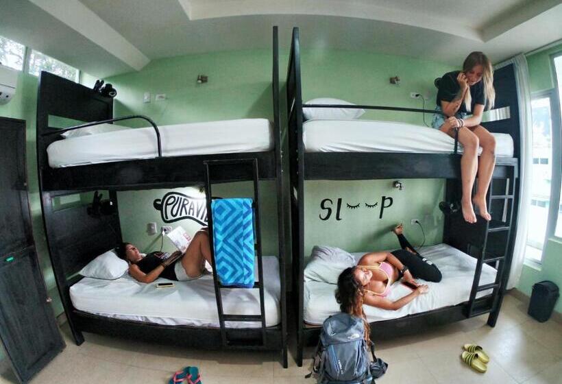 تختخواب در اتاق مشترک, Room2board Hostel And Surf School
