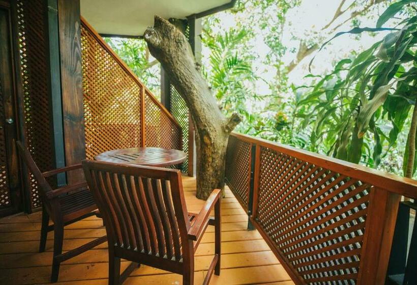 小型套房, Bosque Del Mar Playa Hermosa
