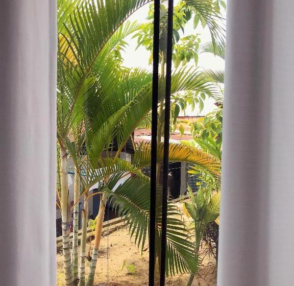 Quarto Estandar, El Mirador