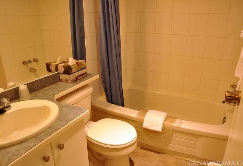 Номер Стандарт 2 Двуспальные Кровати, Rosedale Motel