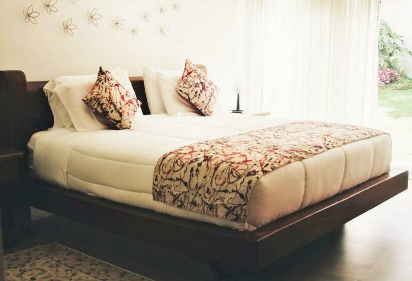 수피리어 룸, Belén Boutique