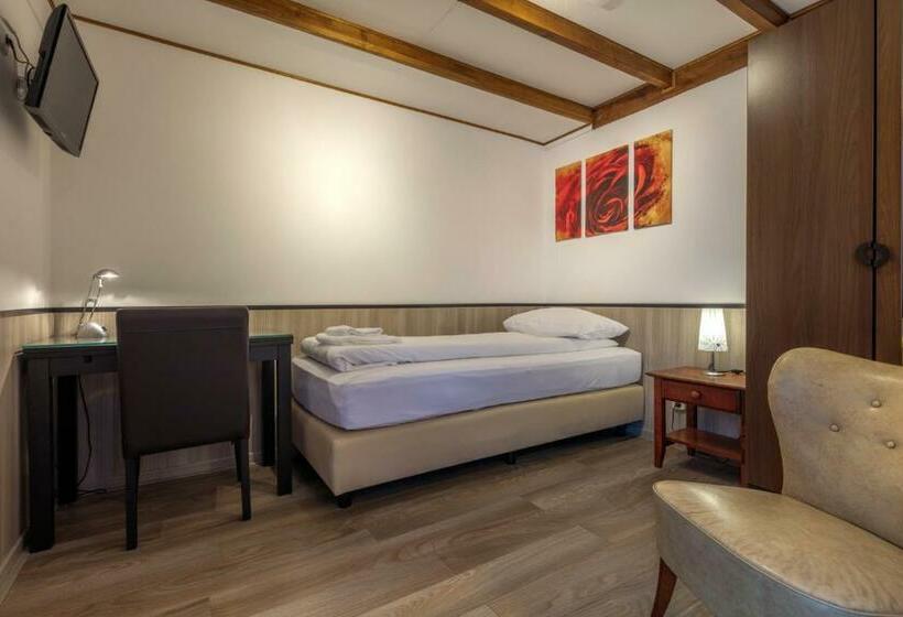 اتاق استاندارد یک نفره, Randenbroek