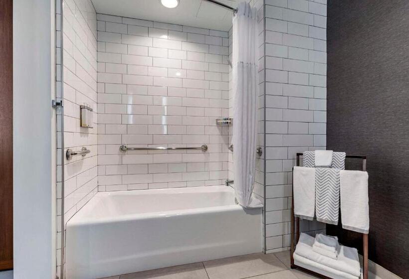 Номер Стандарт Кровать Кинг Адаптированный для Инвалидов, Cambria Hotel Lax