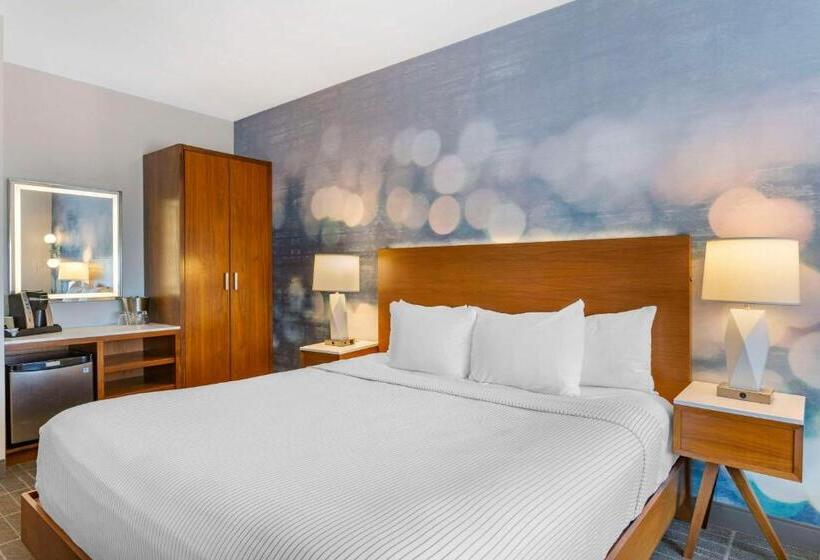 Номер Стандарт Кровать Кинг Адаптированный для Инвалидов, Cambria Hotel Lax