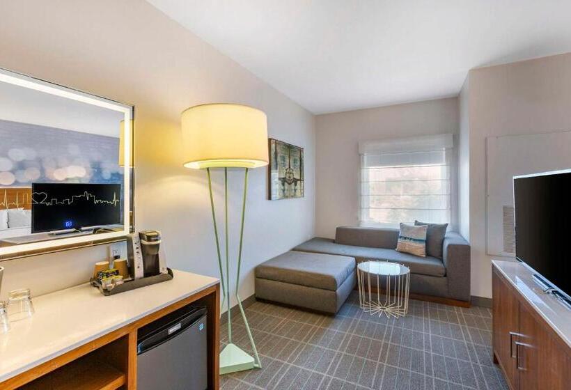 Люкс Кровать Кинг, Cambria Hotel Lax