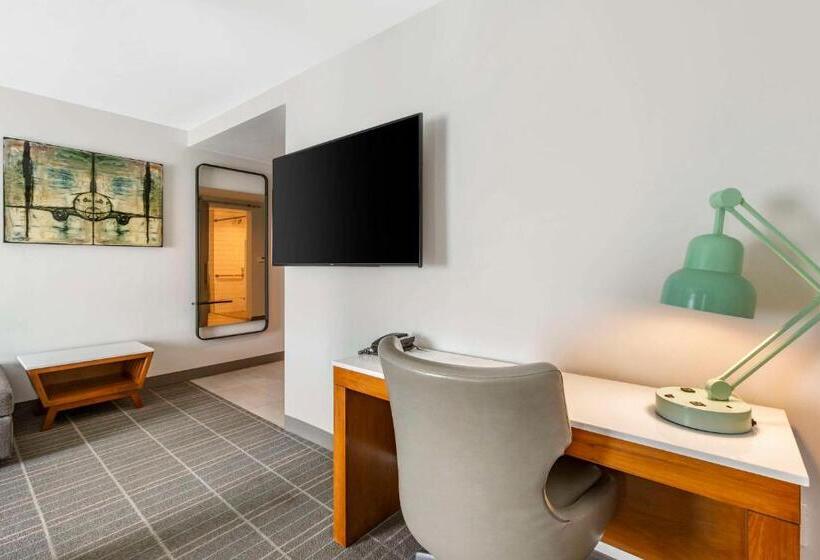 Люкс Адаптированный для Инвалидов, Cambria Hotel Lax