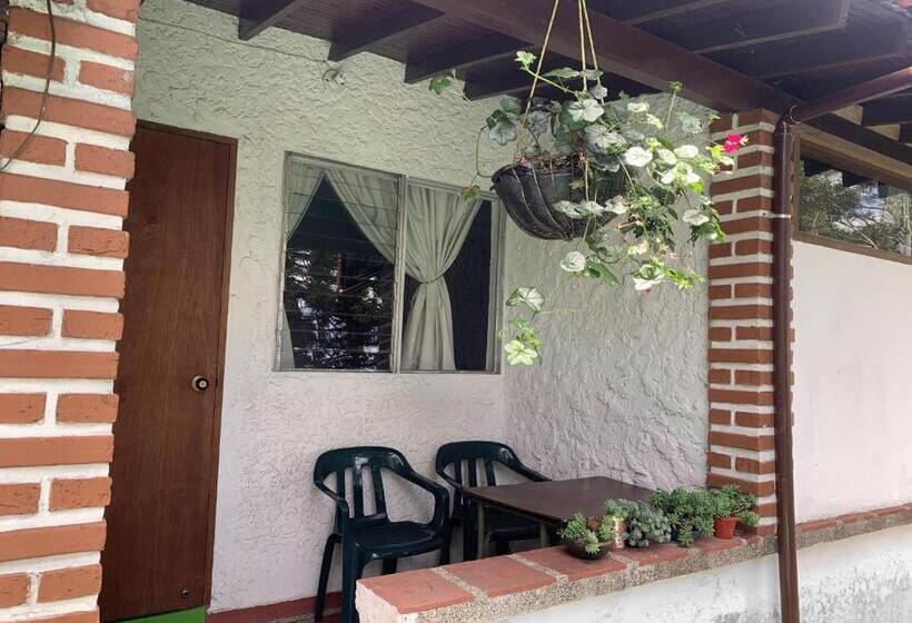 اتاق استاندارد سه نفره, Al Bosque Hostel & Glamping