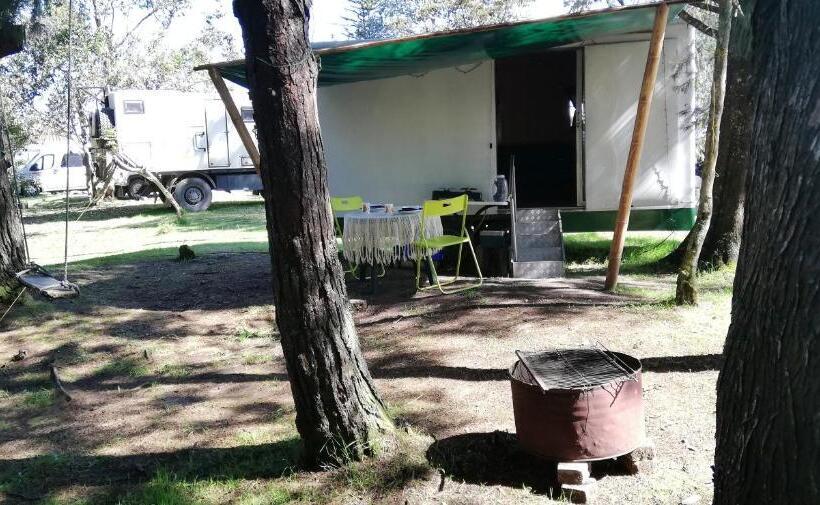 스탠다드 룸, Al Bosque Hostel & Glamping