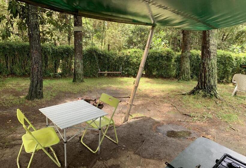 اتاق استاندارد, Al Bosque Hostel & Glamping