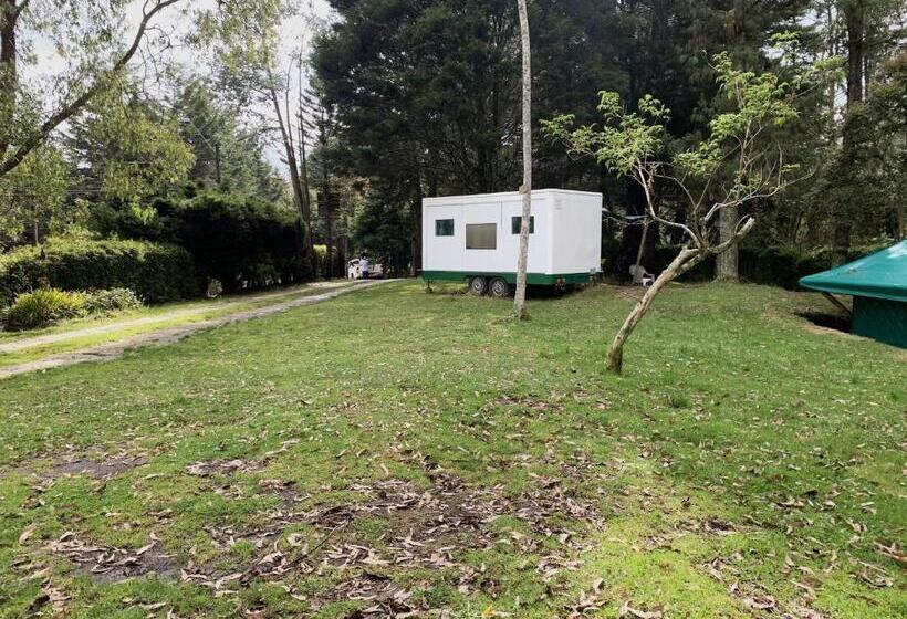 스탠다드 룸, Al Bosque Hostel & Glamping