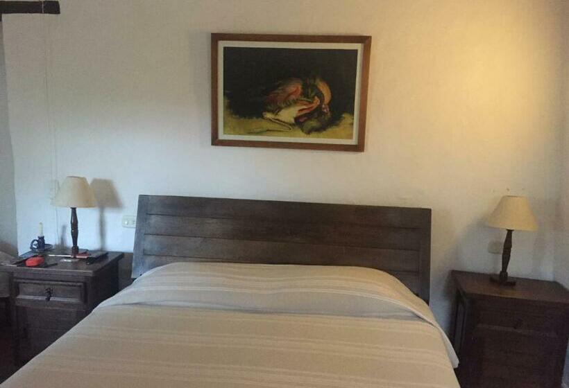 اتاق سوپریور, Achiotte Masaya Collection