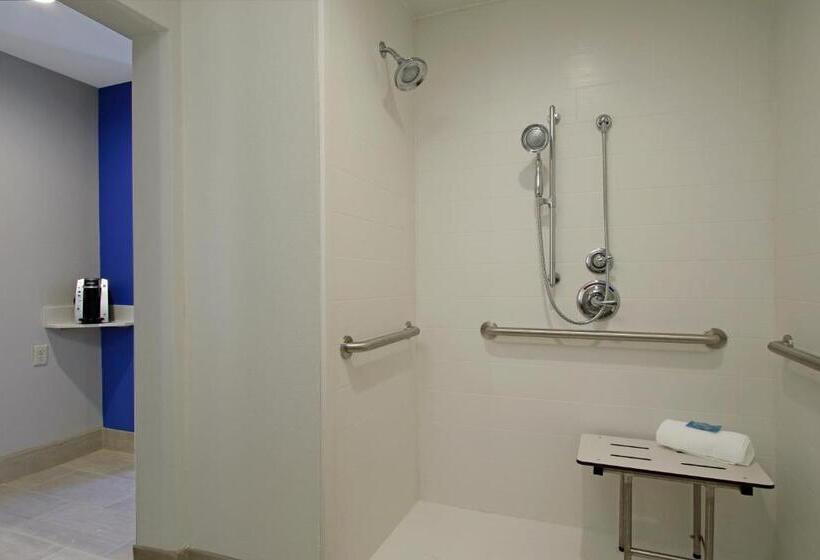 Номер Стандарт Кровать Кинг Адаптированный для Инвалидов, Holiday Inn Express & Suites Columbus North By Ihg