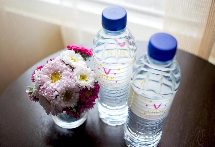 スタンダードシティビュールーム, Vouk Hotel Suites