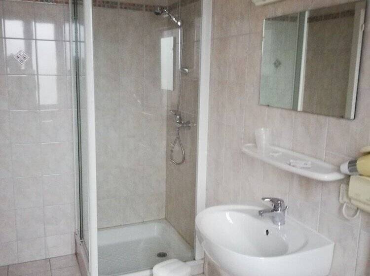 スタンダードシングルルーム, Restaurant Le Moschenross