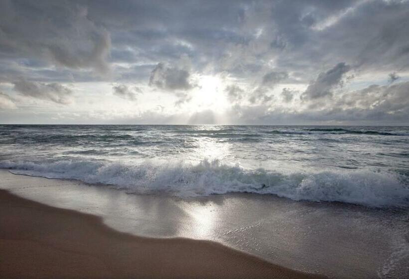 标准间, Strandvogtei Sylt