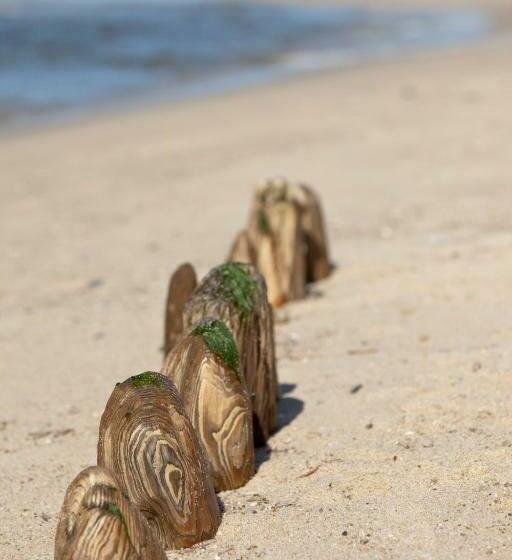 套房, Strandvogtei Sylt