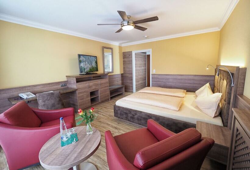 Номер Deluxe, Olympia
