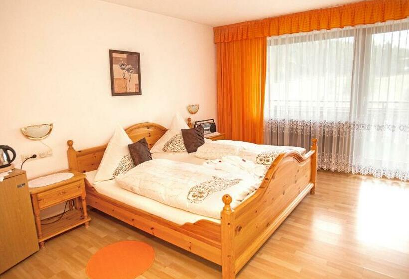Номер Стандарт, Bed & Breakfast Auerhahn   Black Forest