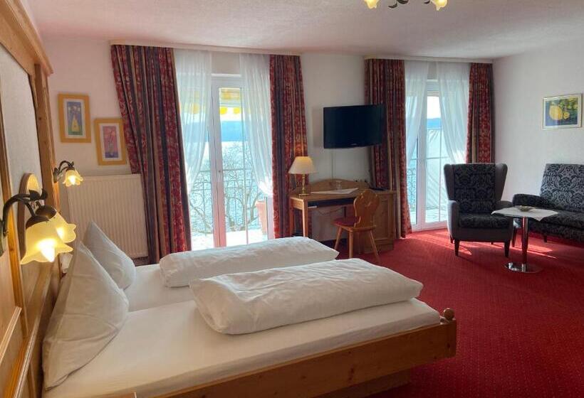스탠다드 룸 호수 전망, Seehotel Schäpfle