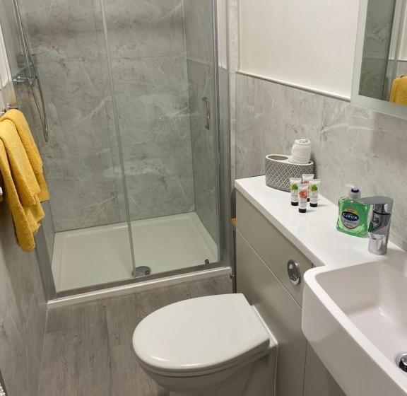 غرفة قياسية بالطابق الأرضى, Downsfield Bed And Breakfast