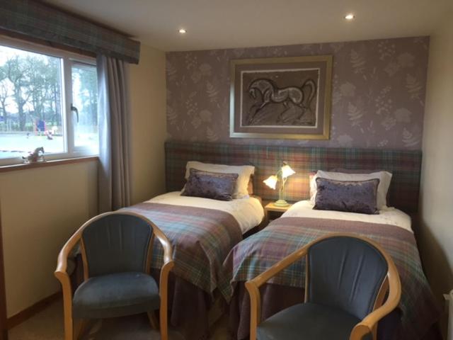 Номер Стандарт, Scottish Equi B&b