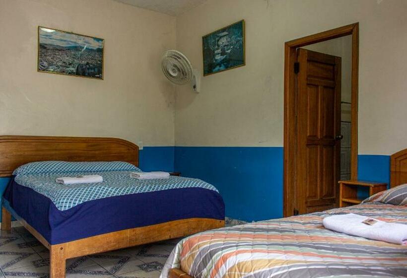 스탠다드 룸, Hostal Limoncocha