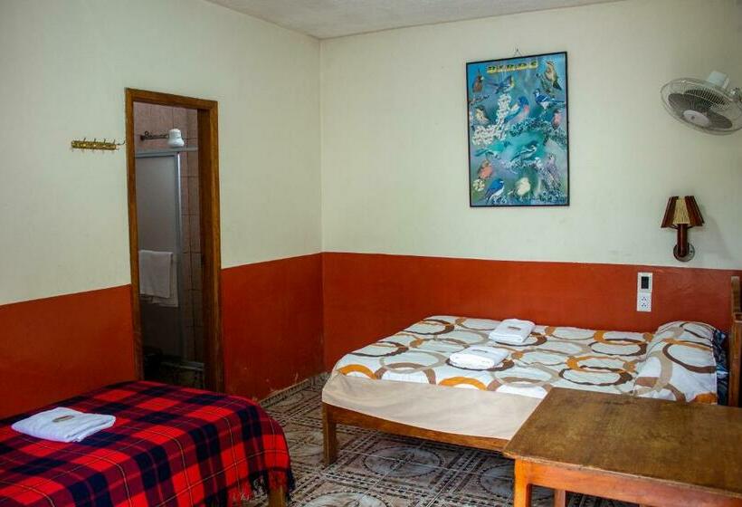 חדר סטנדרט, Hostal Limoncocha