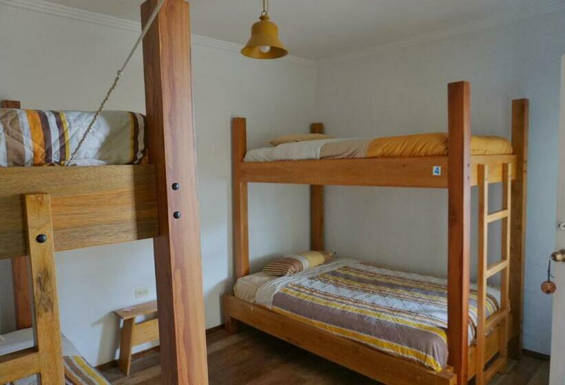 Номер Стандарт, Hostal Mochiliers Bed And Breakfast