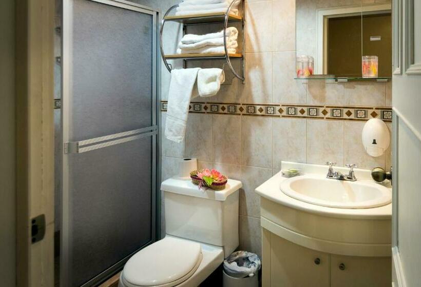 اتاق استاندارد یک نفره, Mariscal Inn & Suites
